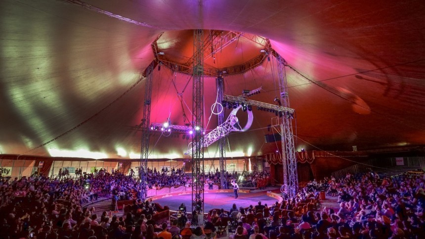 Акробатка сорвалась с высоты в цирке Владивостока — видео
