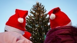 Юная австрийка попросила подарки у Санта-Клауса, а получила их из России
