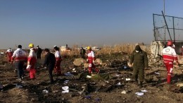 Опубликован список граждан Украины, находившихся на борту разбившегося в Иране Boeing-737