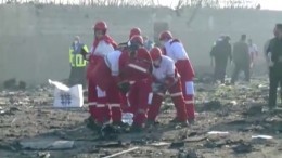Эксперт назвал «странной» катастрофу украинского Boeing-737 в Иране