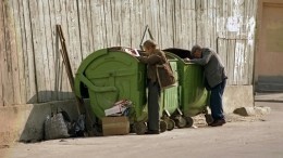 Житель Подмосковья нашел в мусорном контейнере части человеческого тела