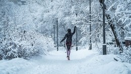 Новые рекорды зимы: на Москву идет потепление, а Алтай завалило снегом