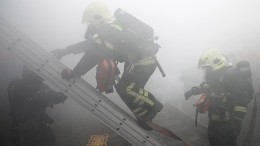 На пожаре в Омске погибли двухлетние близнецы бывшего артиста московского цирка