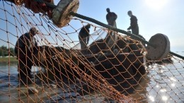 Задержанные в Азовском море украинские браконьеры арестованы на десять суток