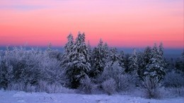 Никола Студеный: что можно и нельзя делать 17 февраля