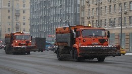 Для чего коммунальщики Петербурга поливают дороги в дождь и «убирают» несуществующий снег?