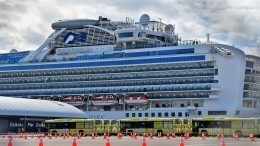 Матвиенко назвала резервацию пассажиров Diamond Princess преступными действиями