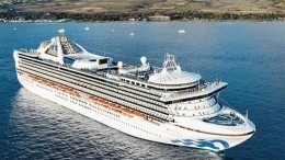 В посольстве РФ уточняют данные о россиянах на борту Grand Princess, пассажиров которого проверяют на коронавирус