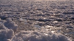Льды мешают вернуться в порт теплоходу с десятками пассажиров на борту