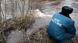 Под Тверью в реке обнаружено тело пропавшей накануне семилетней девочки