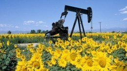 Американский эксперт предрек России победу в нефтяной войне