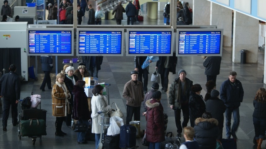 Пьяные пассажиры устроили дебош в аэропорту Внуково и покусали полицейских