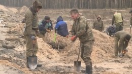 Останки красноармейцев нашли у трассы «Кола» в Ленинградской области