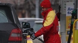 Путина удивил рост цен на бензин на фоне падения стоимости нефти