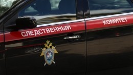 СК РФ возбудил уголовное дело по факту нападения на посольство РФ в Киеве