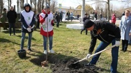 «Сад Памяти» к 75-летию Победы появится в России