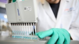 ВОЗ анонсировала начало тестирования вакцины против коронавируса