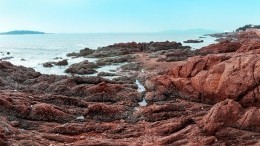 Видео: жительница Новороссийска обнаружила на берегу моря послание из прошлого