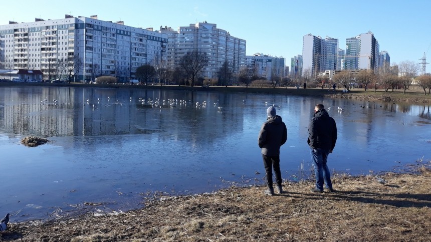 Торговые центры, рестораны и даже парки — Петербург закрывается на карантин