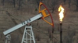 Дональд Трамп оценил вероятность сокращения добычи нефти США