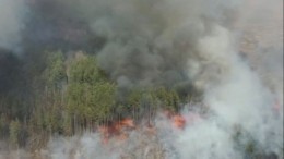 Пожар в Чернобыльской зоне почти достиг хранилища с радиоактивными отходами