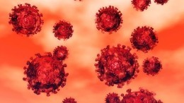 ВОЗ считает, что коронавирус в десять раз смертельнее свиного гриппа
