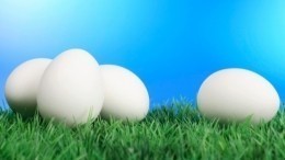 Всмятку, в мешочек, вкрутую: Как правильно варить яйца?