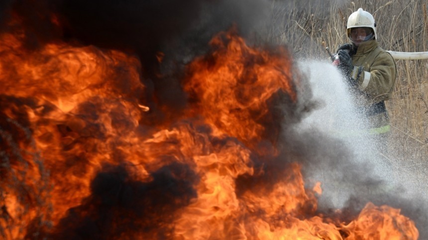 Огонь охватил более 250 тысяч гектар в Новосибирской области