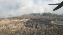 Пожары в зоне отчуждения ЧАЭС подошли к границе с Белоруссией
