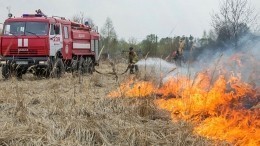 В регионах России обострилась ситуация с природными пожарами