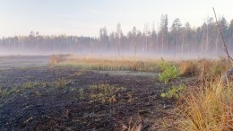 Площадь природных пожаров в Прибайкалье возросла в 22 раза