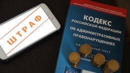 В новом КоАП появится штраф за ночной лай собаки и неисправную автосигнализацию