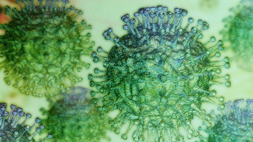 Академик РАН назвал возможные сроки окончания пандемии коронавируса в России