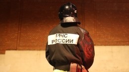 Сотрудников МЧС наделили правом штрафовать россиян за нарушение режима самоизоляции