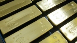 ФСБ пресекла контрабанду драгоценных металлов более чем на 200 миллионов рублей