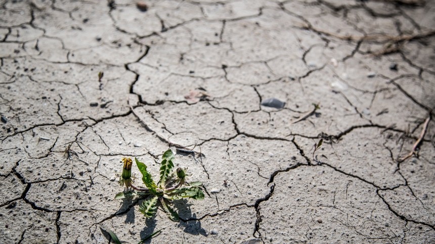 Готовьтесь к худшему: Гидрометцентр предупредил об опасности сильной засухи