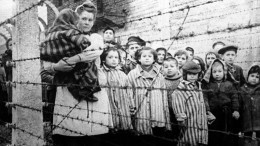 Опубликованы редкие документы об издевательствах нацистов над детьми в Ленобласти
