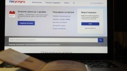 Россияне подали восемь миллионов заявлений на выплаты на детей через портал Госуслуги