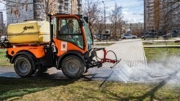 В Ленобласти придумали трудоустройство для потерявших работу из-за пандемии