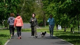 Собянин предложил разрешить москвичам гулять по графику «в тестовом режиме»