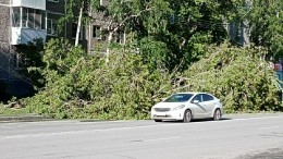 Заморозки и ураганы: непогода обрушится на уральские регионы