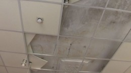 Дом коммунального ужаса: потолок грозит упасть на жильцов дома в Петербурге