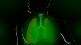 Пульмонолог рассказал об упражнениях, которые помогут восстановить легкие после пневмонии