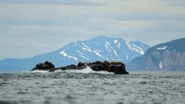 На Камчатке продолжаются поиски моряков, пропавших после крушения катера