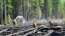 Режим ЧС введен на Камчатке из-за природных пожаров