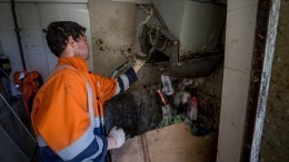 В России собираются навсегда отказаться от мусоропроводов