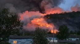 Аномальная жара привела к серьезным пожарам на Камчатке и Чукотке