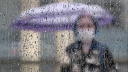 В ребенка ударила молния, мужчина погиб при падении крана: трагедиями обернулась непогода в Петербурге