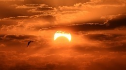 «Кольцо огня»: Земляне делятся в соцсетях эффектными кадрами солнечного затмения