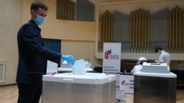 Немецкий депутат оценил организацию голосования по поправкам в Конституцию РФ